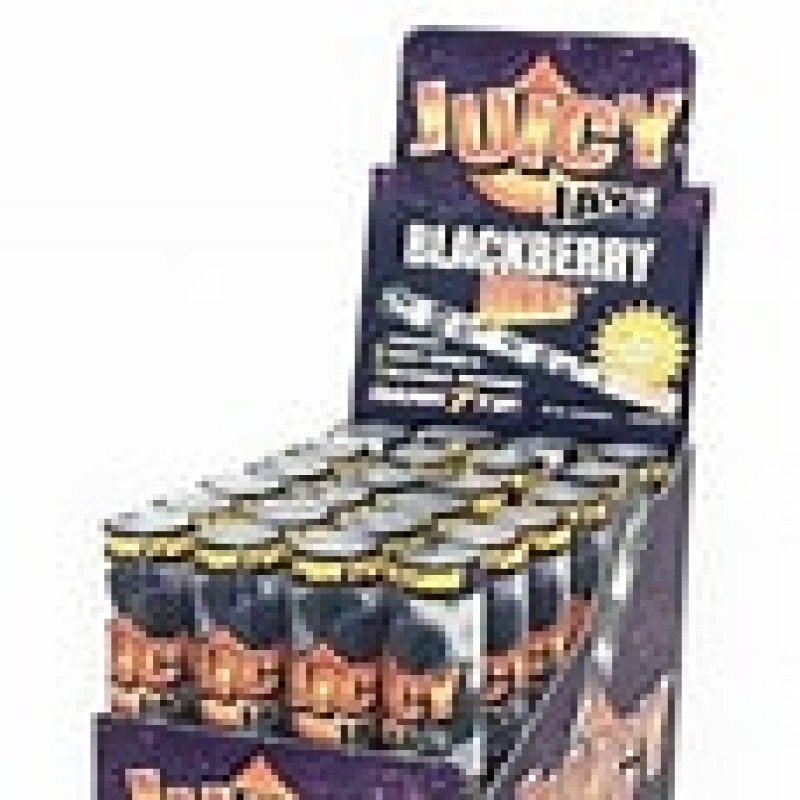 Juicy Jay's Jones Clear Cones PK24 - Blackberry