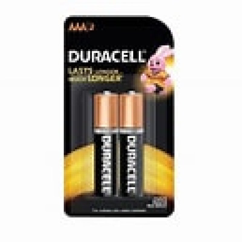 Duracell Basic AAA PK2