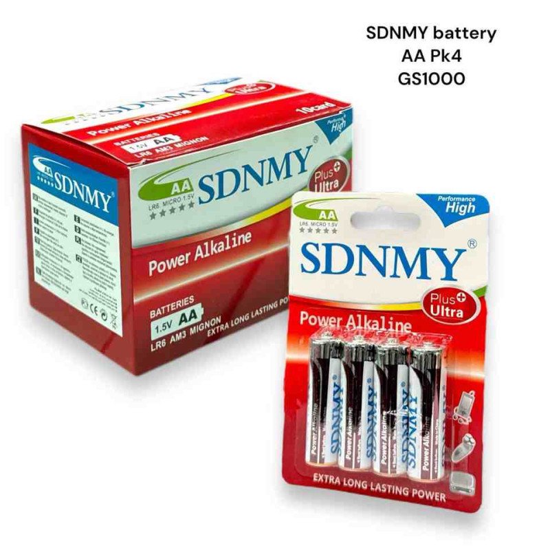 GS1000 - SDNMY AA BATTERY